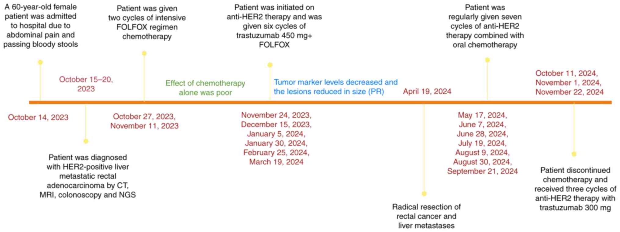 Timeline of treatment. PR, partial
response; CT, computed tomography; MRI, magnetic resonance imaging;
NGS, next-generation sequencing.