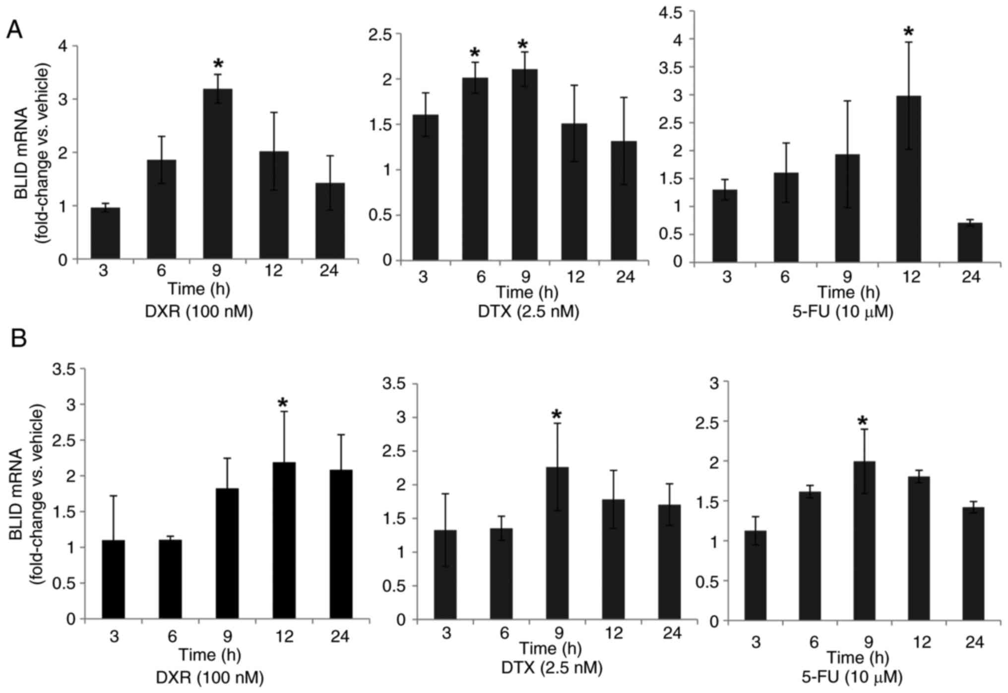 Effect of chemotherapeutic drugs on
BLID expression. Treatment with chemotherapeutics increased BLID
mRNA expression in (A) MCF-7 and (B) T47D breast cancer cells. Data
were normalized to GAPDH, and the fold change in BLID expression
was calculated relative to normalized vehicle control. Data are
presented as the mean ± SD of two to three replicates with two to
three experimental repeats per treatment group. All y-axes denote
BLID mRNA expression (fold change vs. vehicle). *P<0.05 (vs.
vehicle treatment at the time corresponding to the corresponding
experimental treatment time period). DXR, doxorubicin; DTX,
docetaxel; 5-FU, 5-fluorouracil; BLID, BH-3 like motif containing
inducer of cell death.