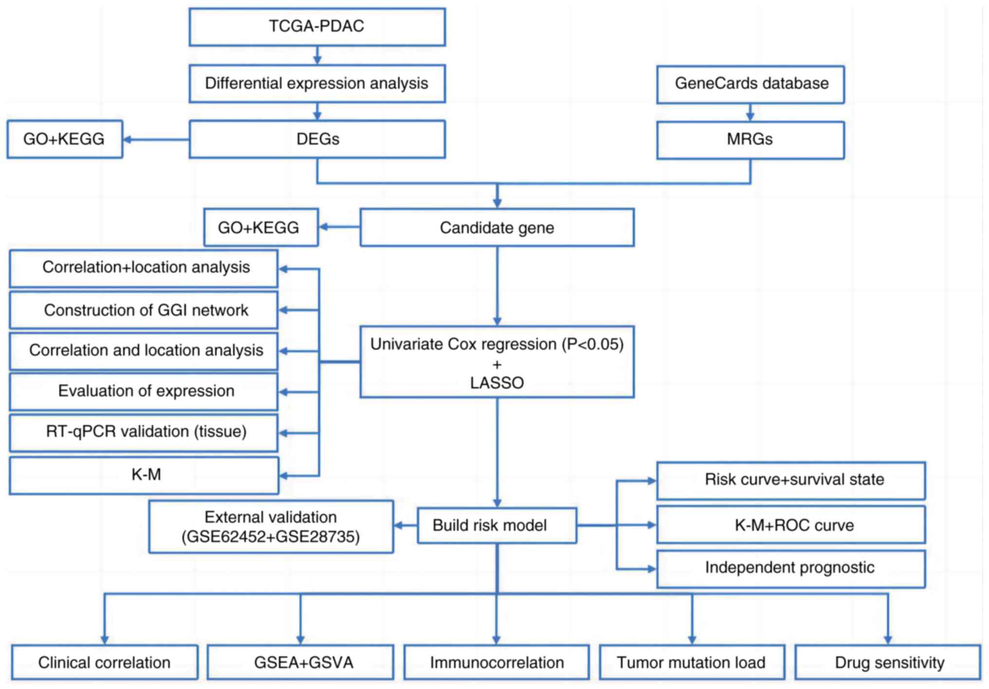 Workflow diagram. TCGA, The Cancer
Genome Atlas; PDAC, pancreatic ductal adenocarcinoma; GO, Gene
Ontology; KEGG, Kyoto Encyclopedia of Genes and Genomes; DEGs,
differentially expressed genes; MRGs, metabolism-related genes;
GGI, gene-gene interaction; RT-qPCR, reverse
transcription-quantitative PCR; K-M, Kaplan-Meier; LASSO, Least
Absolute Shrinkage and Selection Operator; ROC, Receiver Operating
Characteristic; GSEA, Gene Set Enrichment Analysis; GSVA, Gene Set
Variation Analysis.