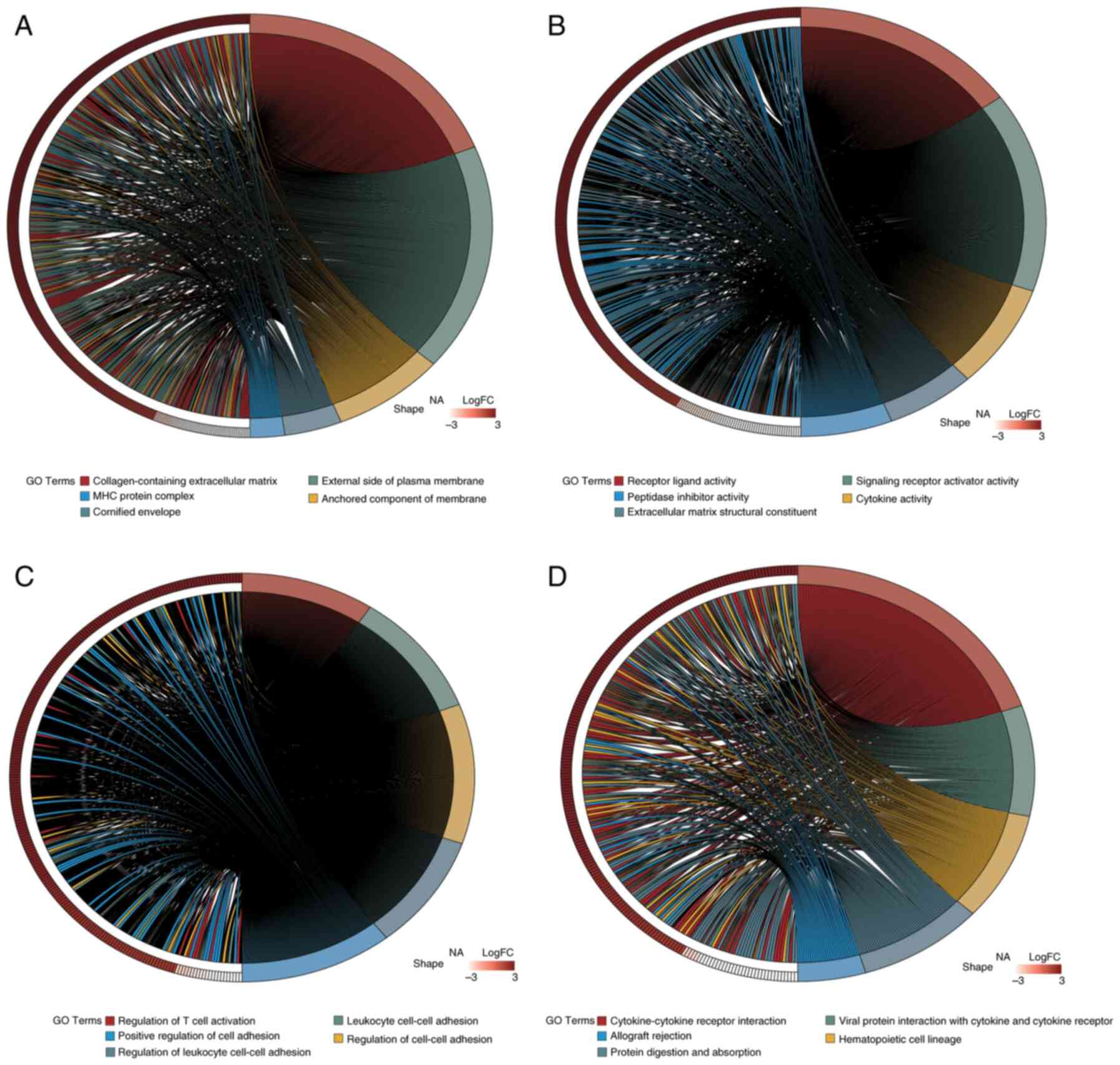 Enrichment analysis results of
differentially expressed genes. Circos plots illustrating the
results of GO enrichment analysis for different categories: (A)
Biological Process, (B) Molecular Function and (C) Cellular
Component. (D) Circos plot showing the results of KEGG pathway
enrichment analysis. In the figure, ‘NA’ within the ‘shape’
category indicates that the shape of the data points is not
applicable or not defined for the corresponding GO terms or
pathways. The top 5 pathways with an adjusted P-value of <0.05
from both GO and KEGG enrichment analyses are annotated in the
plots. GO, Gene Ontology; KEGG, Kyoto Encyclopedia of Genes and
Genomes; FC, fold change; MHC, major histocompatibility
complex.