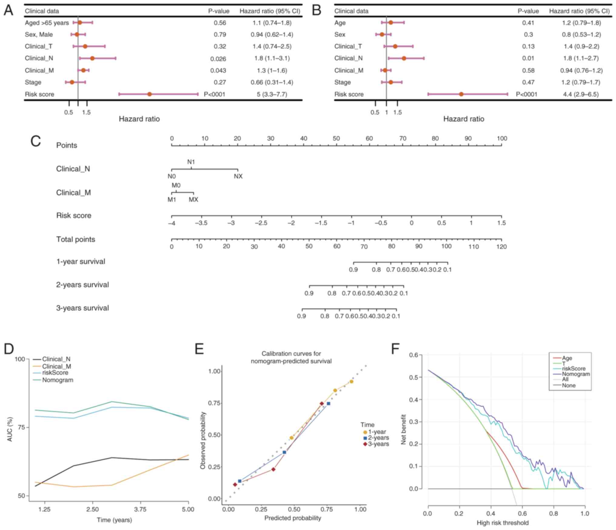 Development and evaluation of the
nomogram model. (A) Univariate and (B) multivariate Cox regression
analysis. The hazard ratio reflects the relative risk for a
one-unit change in a variable. A hazard ration of =1 indicates no
effect on survival time, >1 indicates an increased risk (adverse
factor) and <1 indicates a decreased risk (protective factor).
(C) Construction of the nomogram. Total Points represents the sum
of all factors, which can be used to estimate the 1-, 3- and 5-year
survival rates. Points represent the score corresponding to each
factor. (D) Receiver Operating Characteristic curve analysis of the
nomogram model. (E) Calibration curve analysis of the nomogram
model. The closer the slope of the curve is to the ideal gray line,
the greater the predictive performance of the nomogram. (F)
Decision curve analysis of the nomogram model. Each curve
represents the performance of a prediction model, with the higher
the curve, the greater the net benefit. CI, confidence interval; T,
tumor; N, lymph node; M, metastasis.