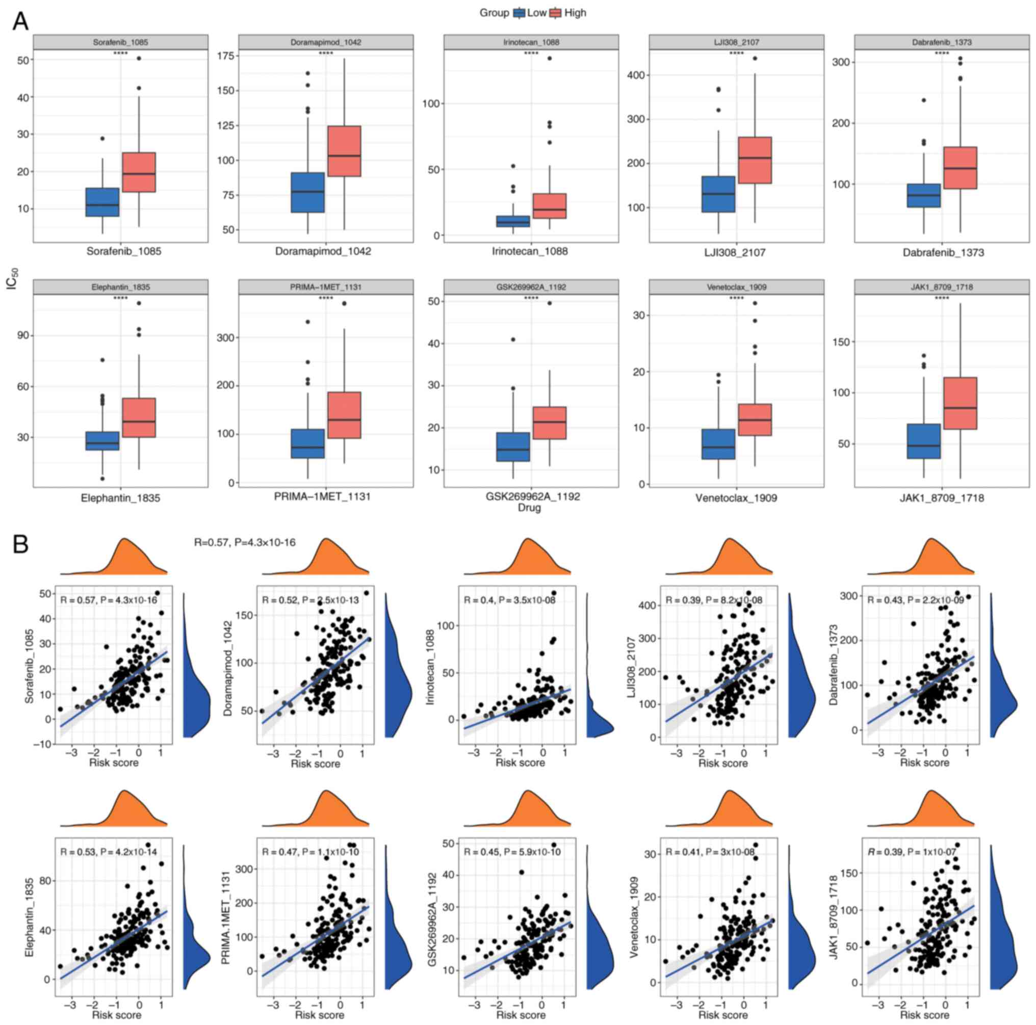 Drug sensitivity analysis based on
risk scores. (A) Difference in IC50 values of top 10
drugs between high-risk and low-risk groups. Lower IC50
values indicate higher drug sensitivity. (B) Correlation between
IC50 of top 10 drugs and risk scores. Higher
IC50 values indicate lower drug sensitivity.
****P<0.0001.