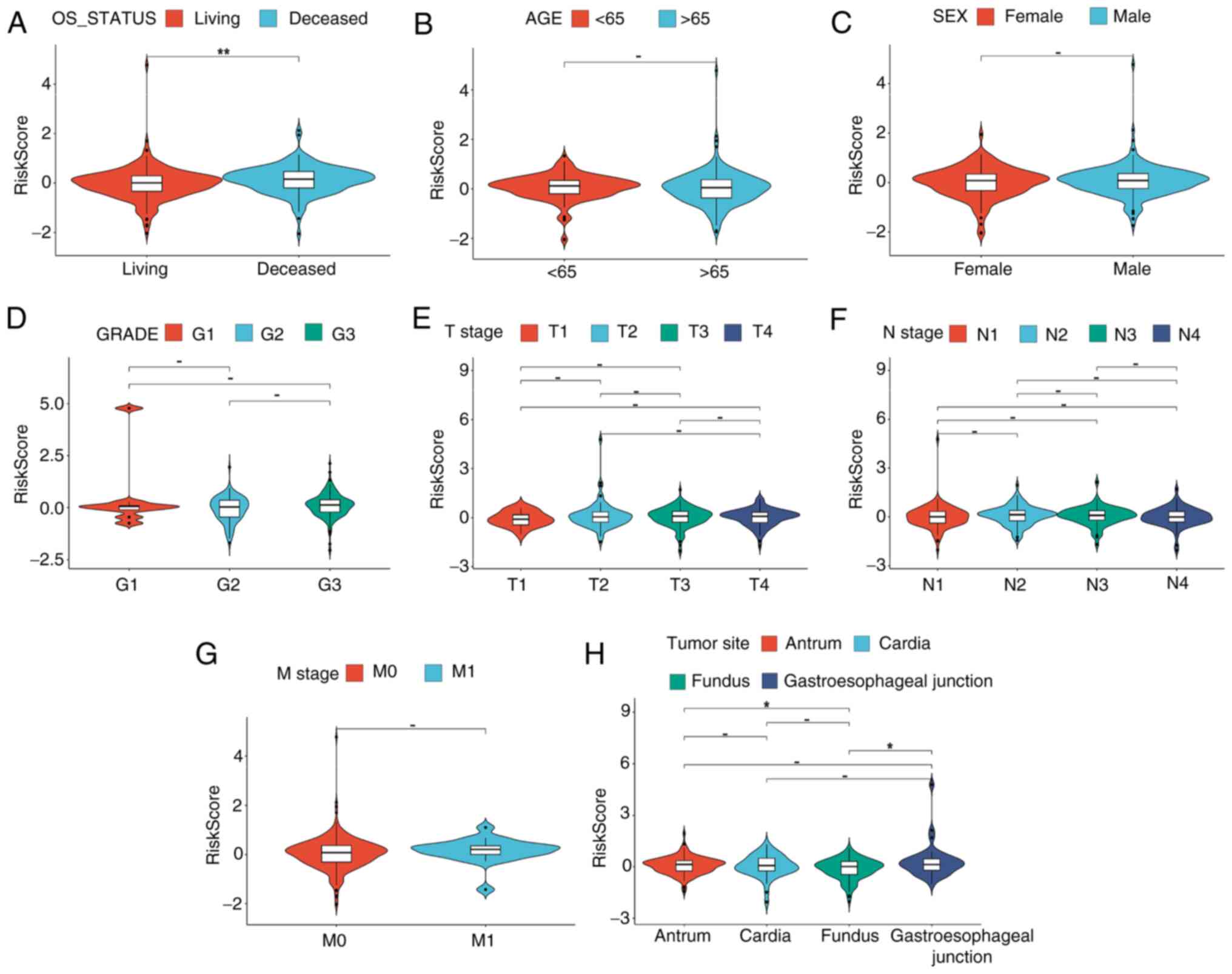 Clinical characteristics of high- and
low-risk groups of the cuproptosis gene-associated model. The
associations between the risk score derived from the
cuproptosisassociated gene model and several clinical
characteristics of patients with gastric cancer were determined.
The risk score was used to stratify patients into high- and
low-risk groups, and its association with key clinical parameters
was analyzed. (A) OS status; (B) age; (C) sex; (D) grade; (E) T
stage; (F) N stage; (G) M stage; and (H) primary site of patients
with gastric cancer. *P<0.05; **P<0.01. OS, overall survival;
T, tumor; N, lymph node; M, metastasis.