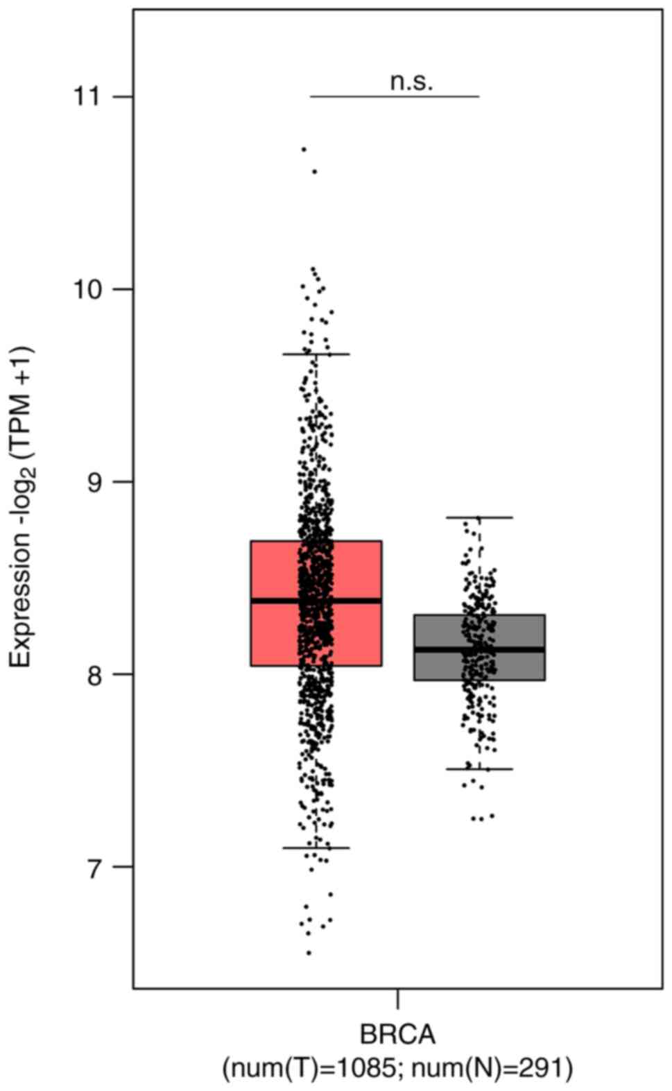 Expression analysis of the HMGB gene
comparing values between healthy and tumour patients, 291 and 1,085
respectively. Data was reported on Gene Expression Profiling
Interactive Analysis (http://gepia2.cancer-pku.cn/#analysis). HMGB, High
mobility group box; BRCA, breast cancer; TPM, transcripts per
million.