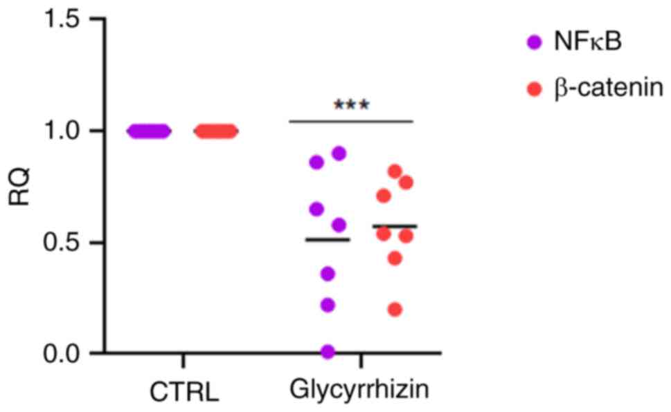 Expression analysis of of NF-κB and
β-catenin in tumor PDOs after 72-h treatment. Results were
normalized to β-actin mRNA and analyzed by the 2−ΔΔCq
method. One-way ANOVA test followed by Tukey's test were used for
statistical analysis. ***P<0.001. PDOs, patient-derived
organoids; CTRL, untreated control.