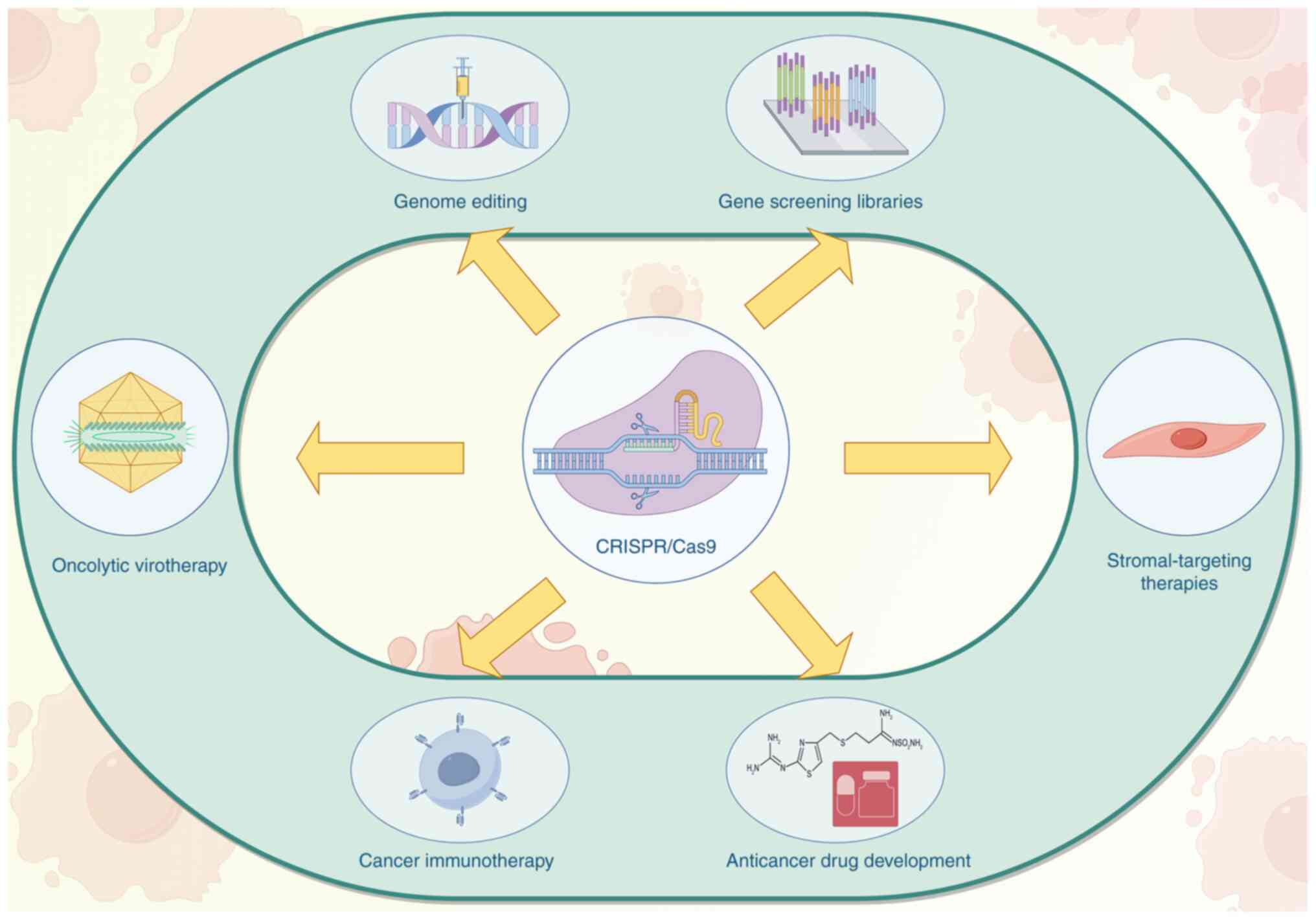 The applications of the CRISPR/Cas9
system. CRISPR, clustered regularly interspaced short palindromic
repeats.